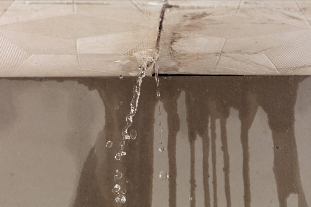 Professional Water Damage Repair technician working in Parrish, FL